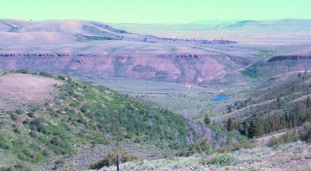 Best view of Sage Creek basin.